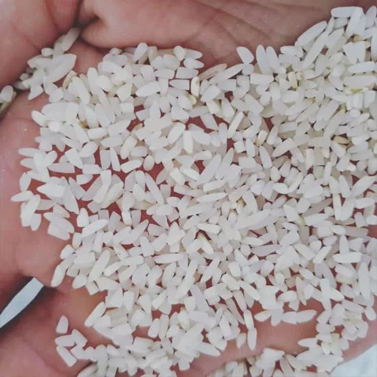 قیمت برنج طارم شکسته فریدونکنار + خرید باور نکردنی